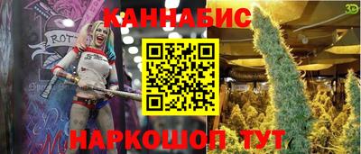 гидропоника Пушкино