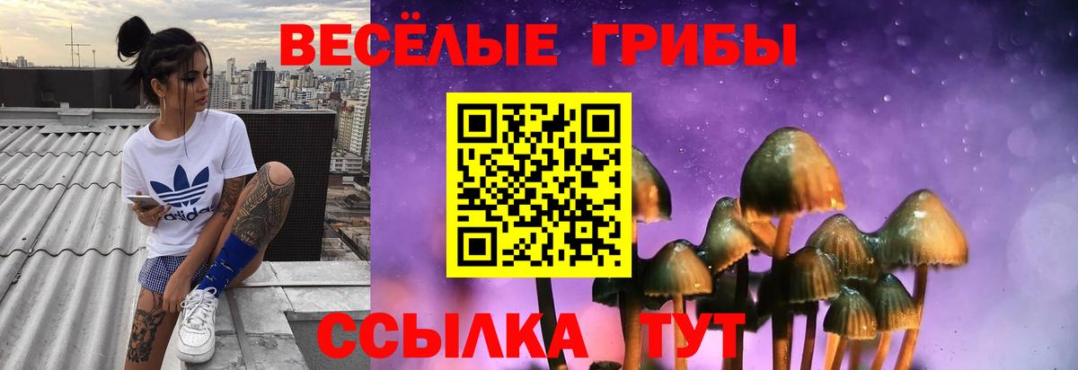 Псилоцибиновые грибы Psilocybe  Вход с VPN  Похвистнево 
